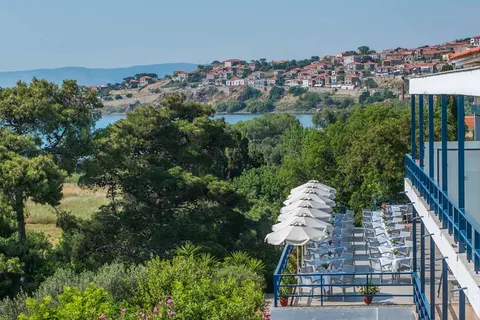 Delfinia foto 4