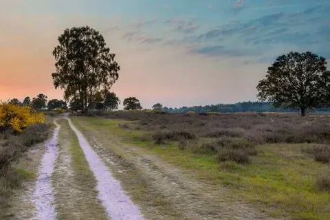 Vakantiepark de Bonte Vlucht foto 16