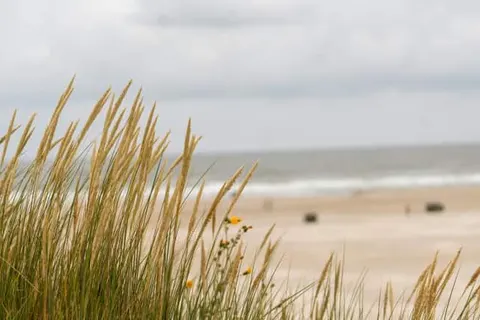 Appartementen Skylgerduin foto 10