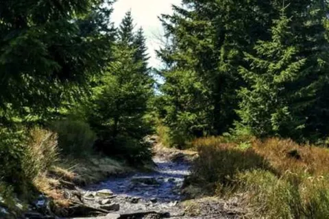 Dein Hotel Braunlage foto 11