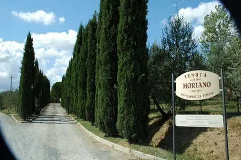 Tenuta Moriano in Montespertoli — foto 16
