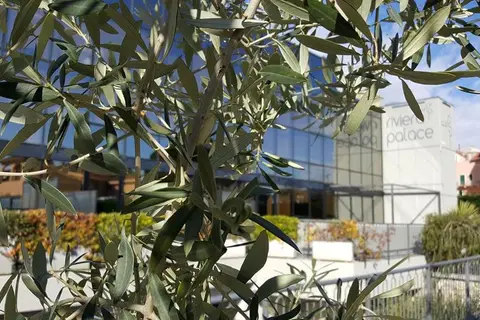 Riviera Palace in Loano — foto 6
