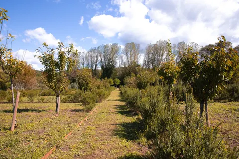 Camping Collection Rivages Rives D Arc foto 10