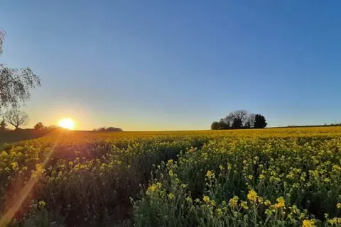 Rathaushotel Oberwiesenthal foto 18