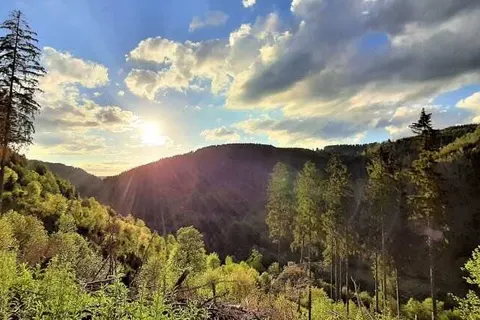 Harz Hotel Iris foto 26