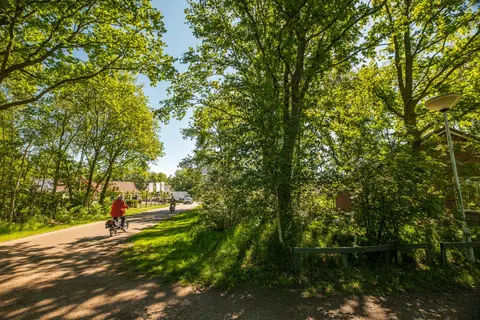 Papillon Country Resort in Denekamp — foto 23