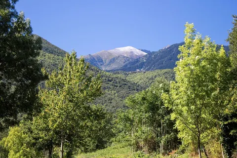 Camping Le Canigou foto 6