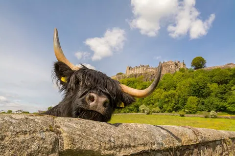 8 daagse fly drive Legendarisch Schotland foto 3