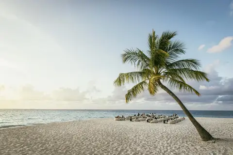 Robinson Noonu in ތިނަދޫ — foto 6