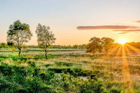 Hotel Restaurant Het Ros van Twente foto 32