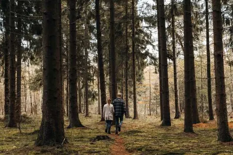 Hotel en Restaurant Wesseling foto 34