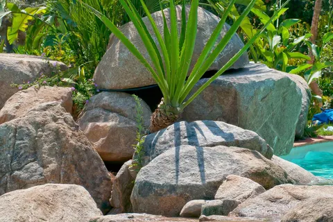 Camping Ultima Spiaggia foto 9