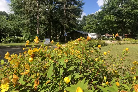 Camping Étang De La Vallée foto 11