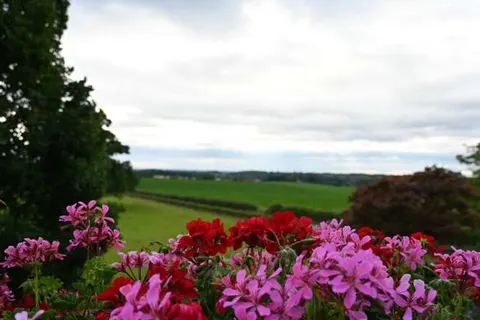 Hotel de Plank foto 31