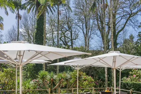 Terra Nostra Garden in Povoação — foto 29