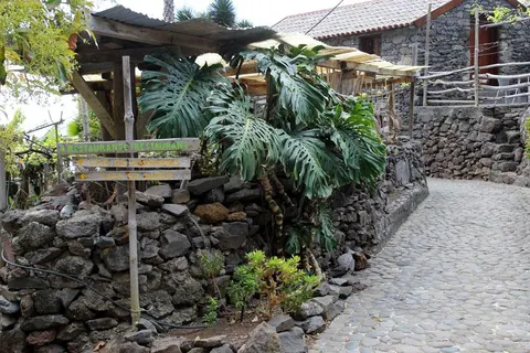 Fajã dos Padres in Câmara de Lobos — foto 21