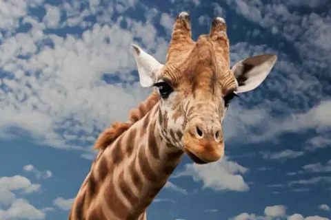 Mercure Hotel Tilburg Centrum foto 22