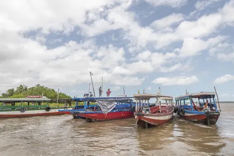 11-daagse rondreis A Taste of Suriname in Distrikt Paramaribo — foto 3