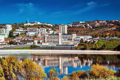 Regua Douro in Peso da Régua, foto 19