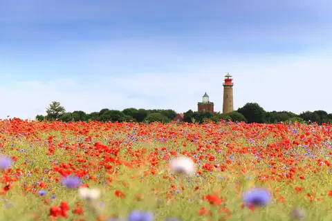 Rügen, eiland aan de Oostzeekust, Breege in Breege — foto 7