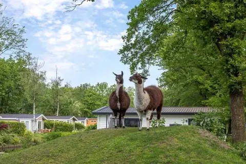 Residence de Eese foto 12