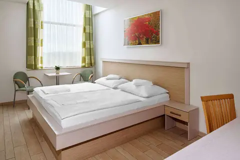 Ankora Hotel Prague in Praag