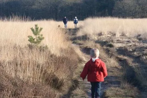 Recreatiecentrum Adelhof foto 14