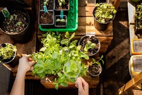 GuestHouse Hotel Kaatsheuvel foto 15