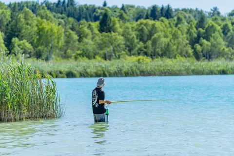 Camping Le Fayolan foto 6