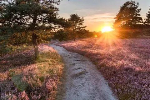 Mercure Hotel Amersfoort Centre foto 21