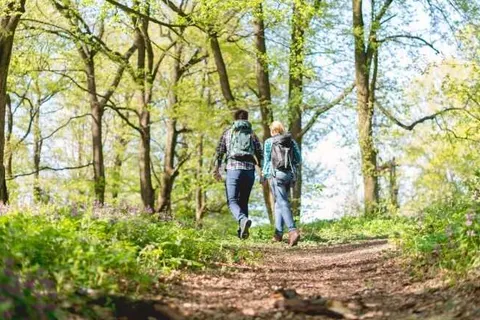 Hotel Mijdrecht Marickenland foto 20