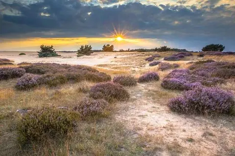 Soeren Lounge - Veluwe foto 22