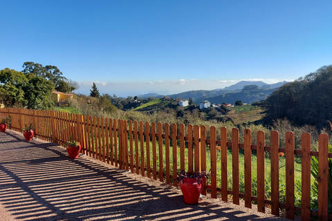 Finca Natura Canaria foto 22