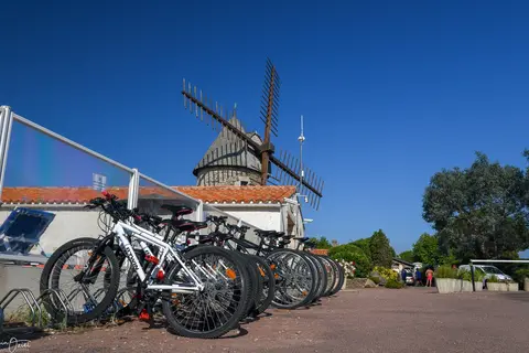 Camping Moulin De La Salle in Les Sables-d'Olonne — foto 23