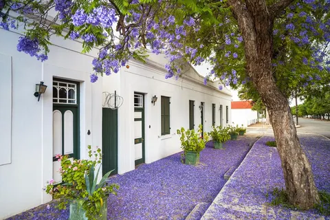 21-daagse rondreis Grand Tour Zuid-Afrika foto 2