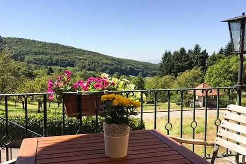 Landgasthof Grüner Baum foto 16