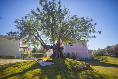 Cegonha Country Club in Loulé — foto 9