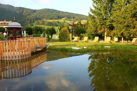 Alpen Eghel in Folgaria, foto 28