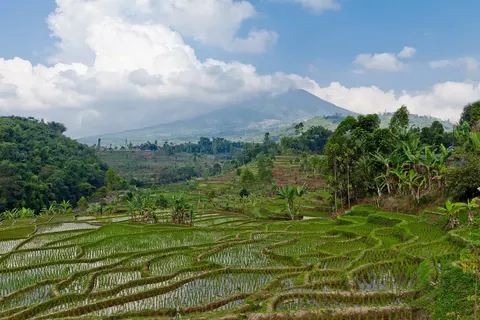 Fascinerend Indonesië foto 15