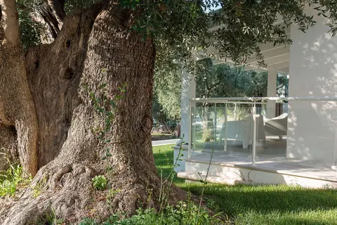 Agriturismo Giorgio in Mattinata — foto 11