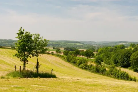 Hotel Schilberg foto 23