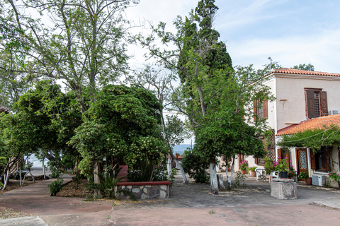 Appartementen Lela Kaptani Eftalou Olive Grove foto 25