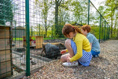 Vakantiepark Hoge Kempen foto 22