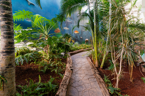 HOVIMA La Pinta Beach Front Family hotel foto 22