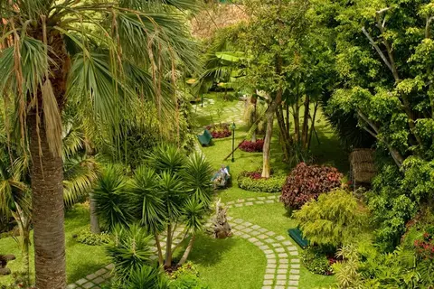 Girassol in Funchal — foto 16