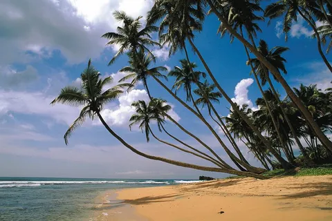 17 daagse singlereis Sri Lanka Klassiek in Kelebokka — foto 3