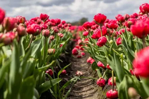 Grenzeloos Slapen-Eten-Beleven foto 36