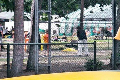 Oostappen Vakantiepark Arnhem foto 9