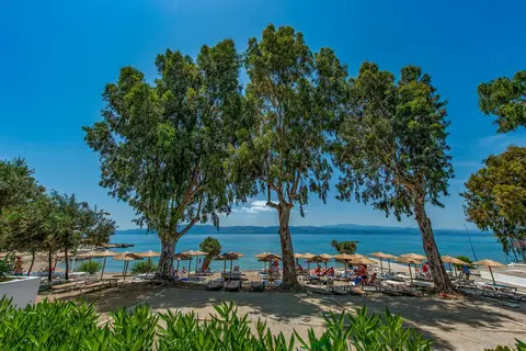 Evia Riviera Resort in Δημοτική Ενότητα Αμαρυνθίων — foto 16