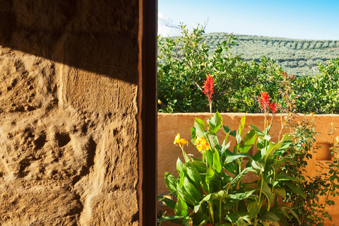 Villa Conte Marino foto 20